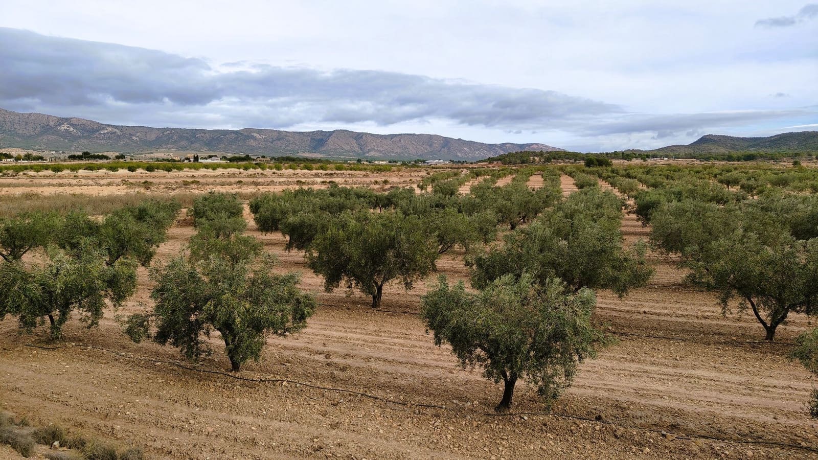 Finca/Casa di Campagna in vendita in Monovar / Monover - 45.900 € (Rif: 9346763)