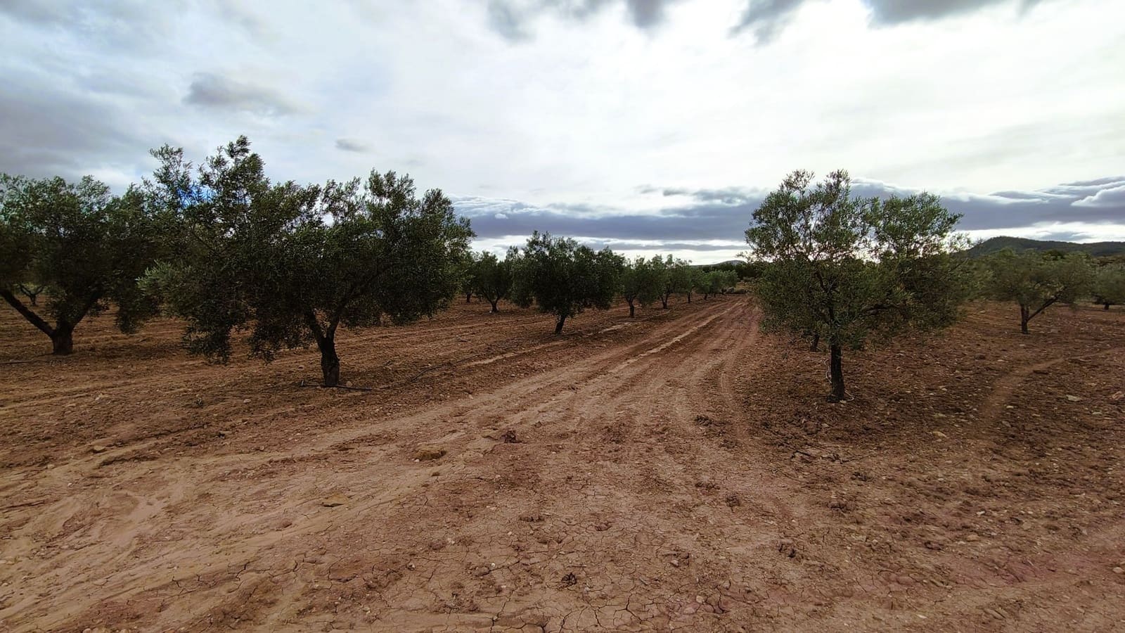 Finca/Casa di Campagna in vendita in Monovar / Monover - 45.900 € (Rif: 9346763)