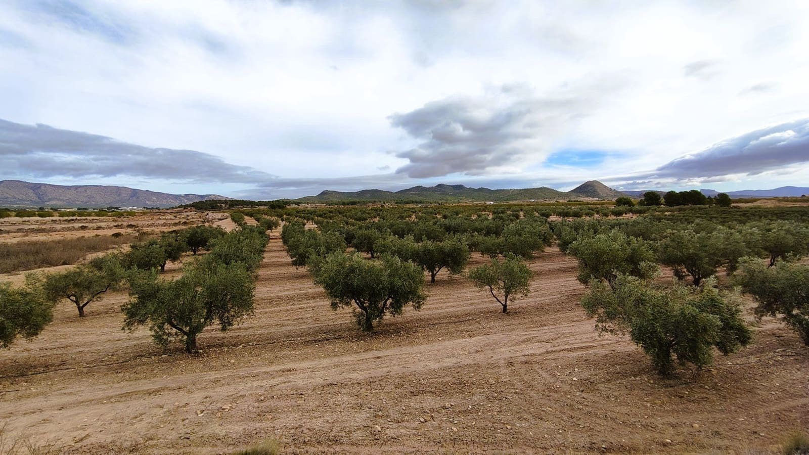 Finca/Casa di Campagna in vendita in Monovar / Monover - 45.900 € (Rif: 9346763)