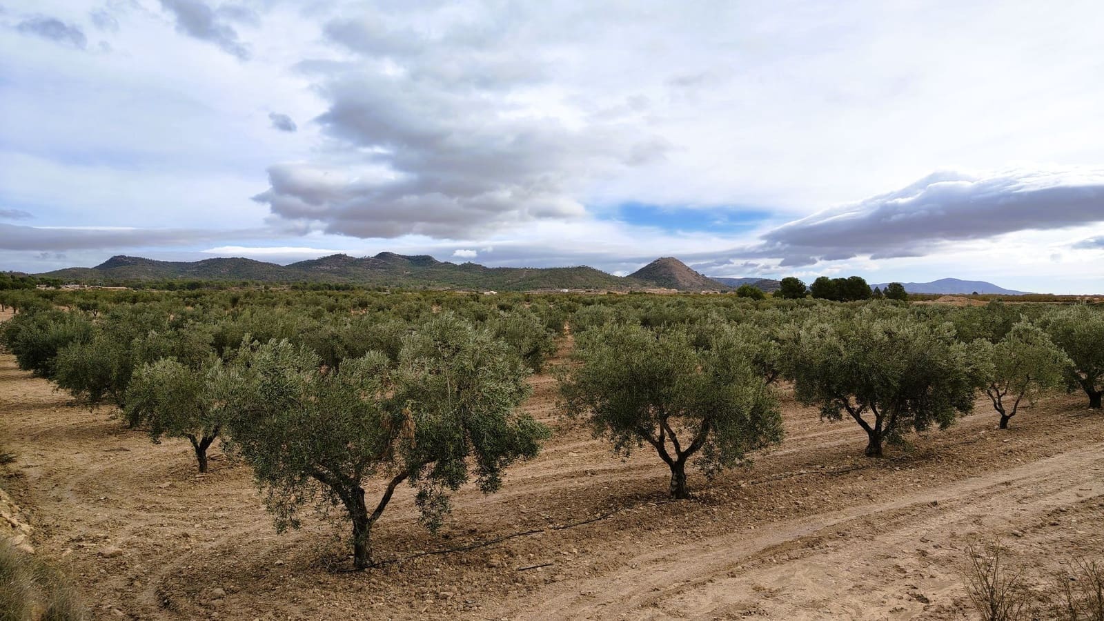 Finca/Casa di Campagna in vendita in Monovar / Monover - 45.900 € (Rif: 9346763)