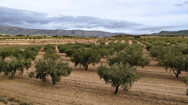 Finca/Casa di Campagna in vendita in Monóvar / Monóver - 45.900 € (Rif: 9346763)