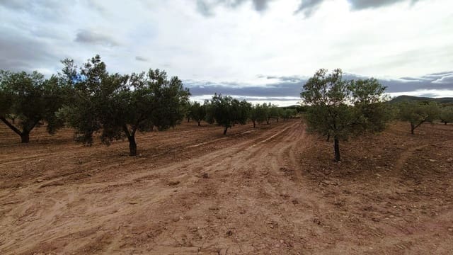 Finca/Casa di Campagna in vendita in Monóvar / Monóver - 45.900 € (Rif: 9346763)