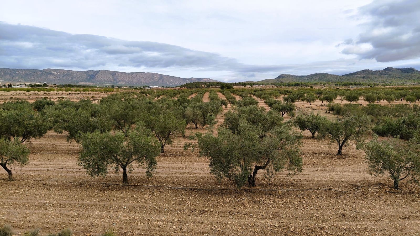 Finca/Casa di Campagna in vendita in Monovar / Monover - 45.900 € (Rif: 9346763)