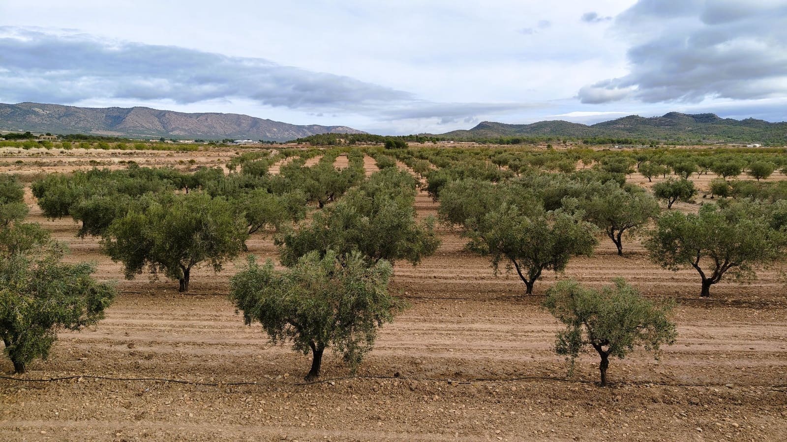 Finca/Casa di Campagna in vendita in Monovar / Monover - 45.900 € (Rif: 9346763)