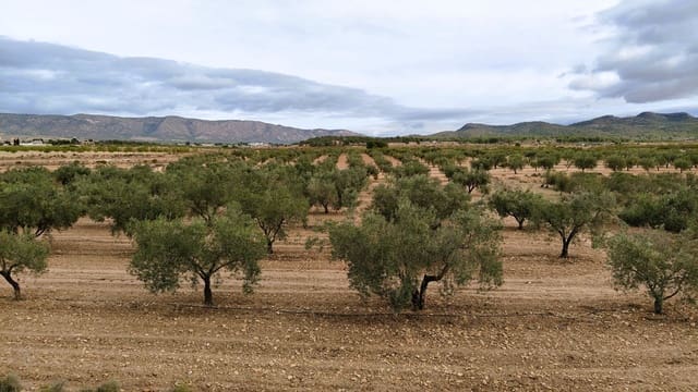 Finca/Casa di Campagna in vendita in Monóvar / Monóver - 45.900 € (Rif: 9346763)