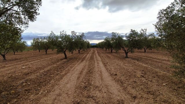 Finca/Casa di Campagna in vendita in Monóvar / Monóver - 45.900 € (Rif: 9346763)