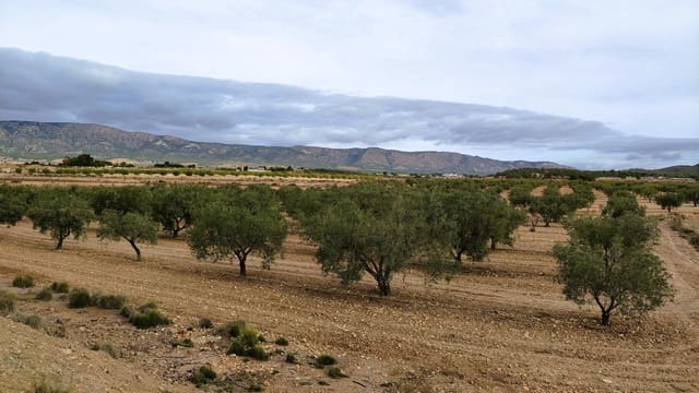 Finca/Casa di Campagna in vendita in Monóvar / Monóver - 45.900 € (Rif: 9346763)