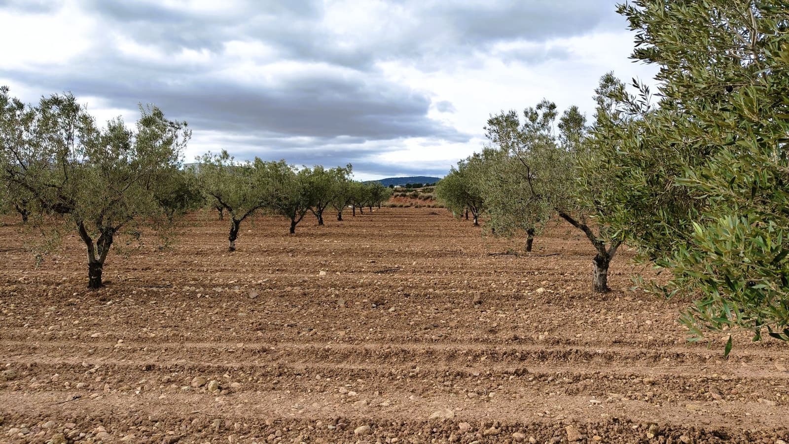 Finca/Casa di Campagna in vendita in Monovar / Monover - 45.900 € (Rif: 9346763)