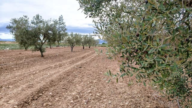 Finca/Casa di Campagna in vendita in Monóvar / Monóver - 45.900 € (Rif: 9346763)