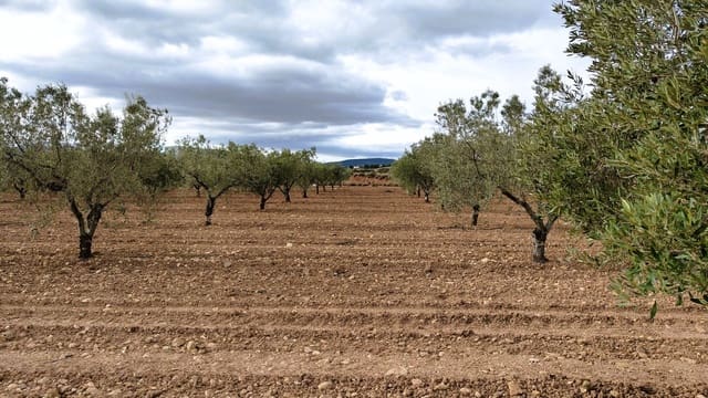 Finca/Casa di Campagna in vendita in Monóvar / Monóver - 45.900 € (Rif: 9346763)