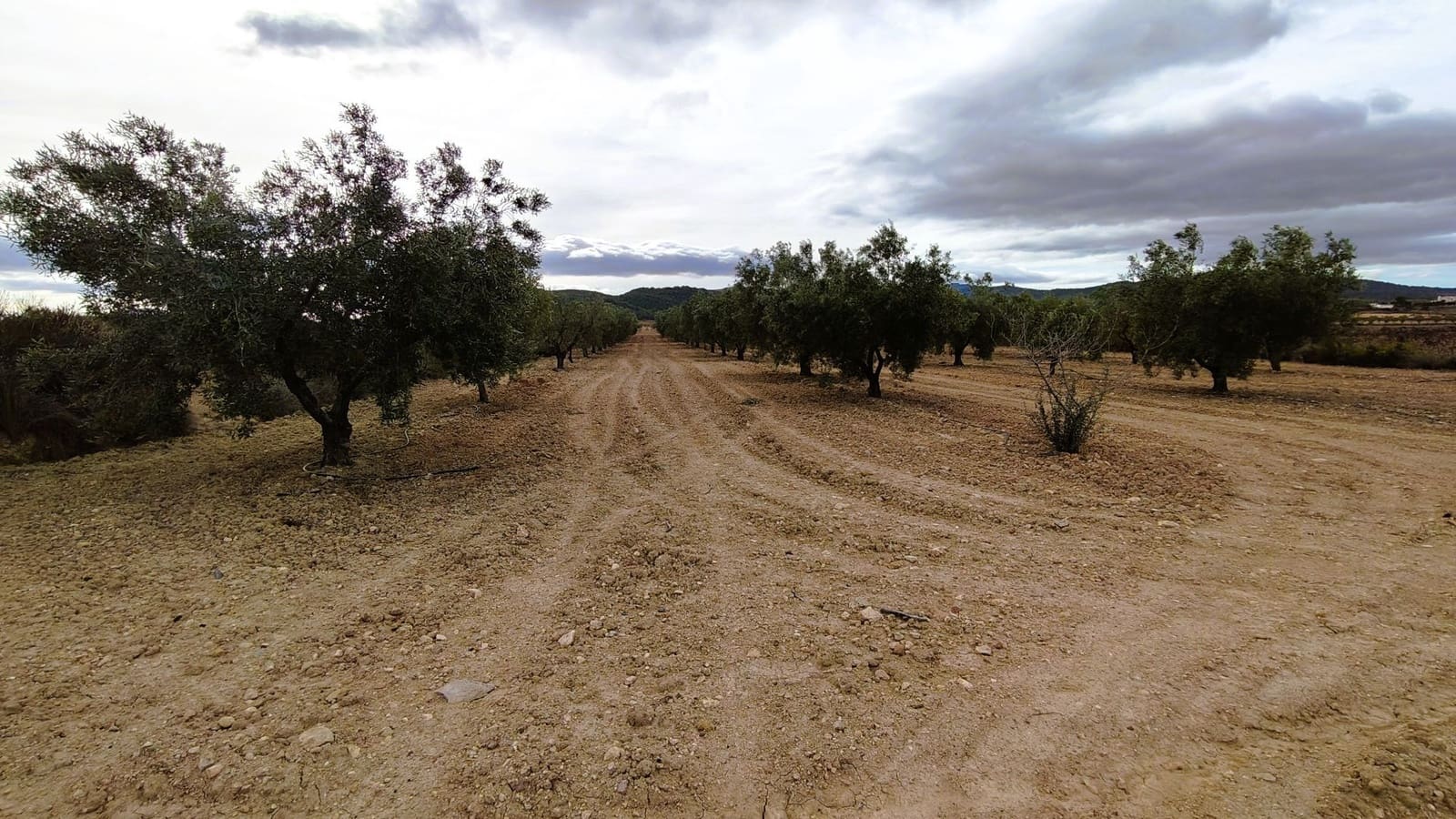 Finca/Casa di Campagna in vendita in Monovar / Monover - 15.900 € (Rif: 9346764)