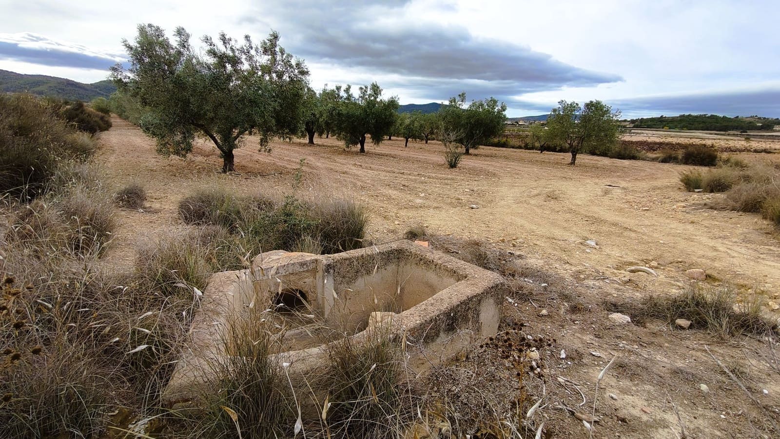 Finca/Casa di Campagna in vendita in Monovar / Monover - 15.900 € (Rif: 9346764)