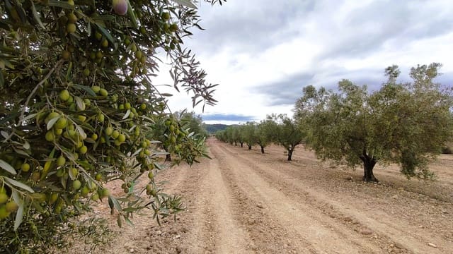 Finca/Casa di Campagna in vendita in Monóvar / Monóver - 15.900 € (Rif: 9346764)