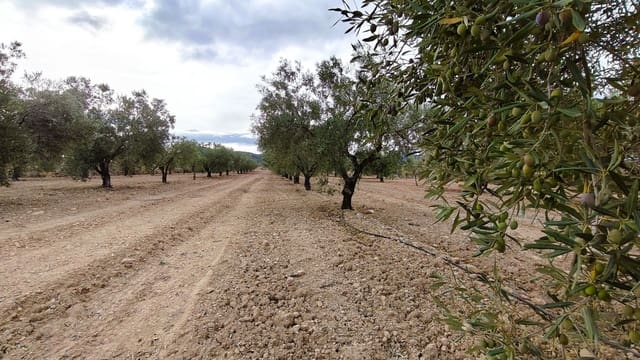 Finca/Casa di Campagna in vendita in Monóvar / Monóver - 15.900 € (Rif: 9346764)