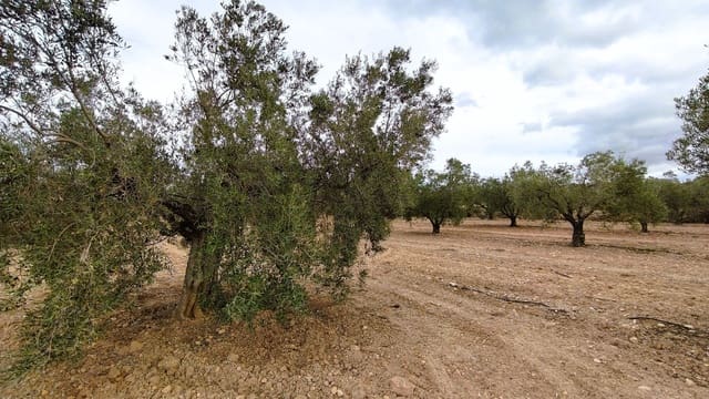 Finca/Casa di Campagna in vendita in Monóvar / Monóver - 15.900 € (Rif: 9346764)