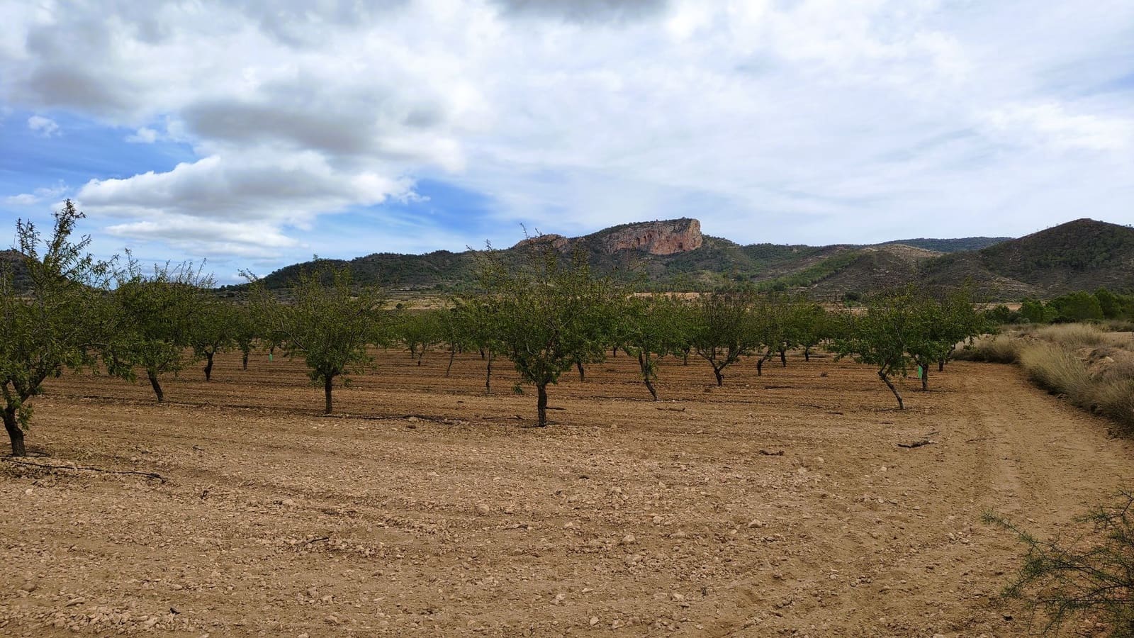 Finca/Casa di Campagna in vendita in Monovar / Monover - 20.900 € (Rif: 9353134)