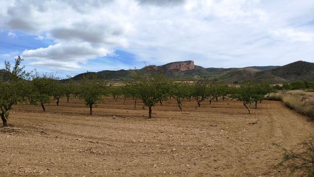 Finca/Casa di Campagna in vendita in Monóvar / Monóver - 20.900 € (Rif: 9353134)