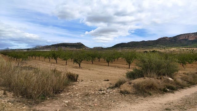 Finca/Casa di Campagna in vendita in Monóvar / Monóver - 20.900 € (Rif: 9353134)