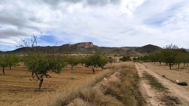 Finca/Casa di Campagna in vendita in Monóvar / Monóver - 20.900 € (Rif: 9353134)