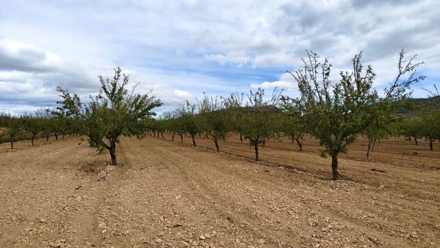 Finca/Casa di Campagna in vendita in Monóvar / Monóver - 20.900 € (Rif: 9353134)