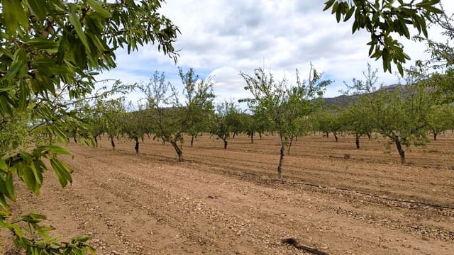 Finca/Casa di Campagna in vendita in Monóvar / Monóver - 20.900 € (Rif: 9353134)