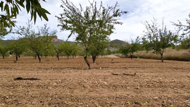 Finca/Casa di Campagna in vendita in Monóvar / Monóver - 20.900 € (Rif: 9353134)