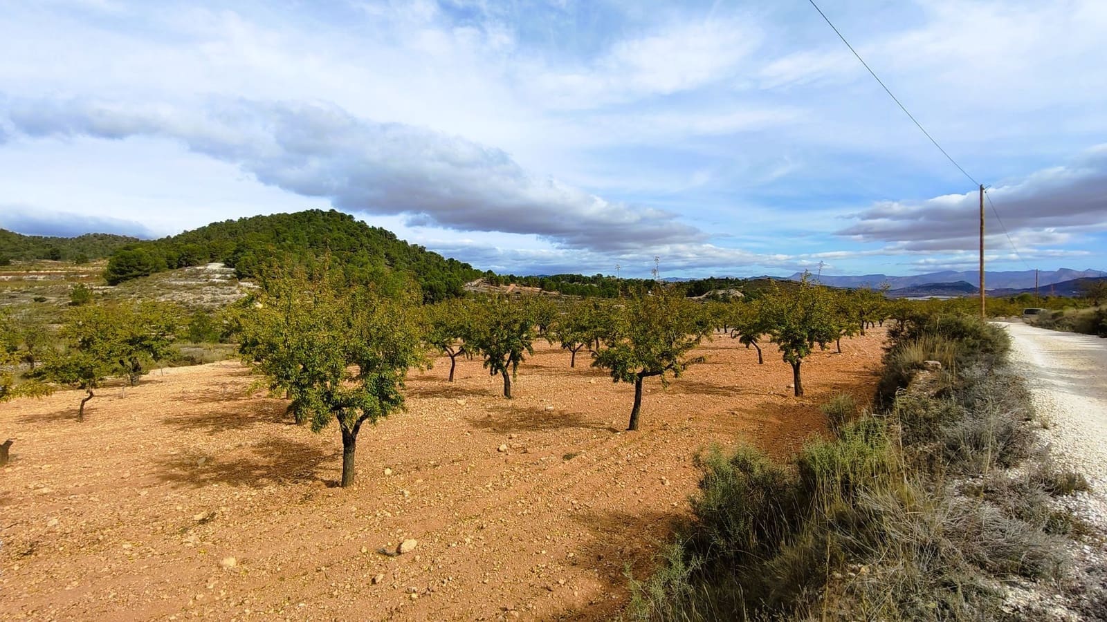 Finca/Landhuis te koop in Monovar / Monover - € 28.300 (Ref: 9353135)