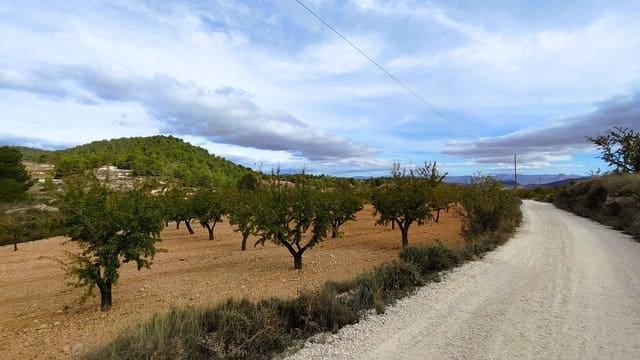 Finca/Casa di Campagna in vendita in Monóvar / Monóver - 28.300 € (Rif: 9353135)