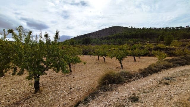 Finca/Casa di Campagna in vendita in Monóvar / Monóver - 28.300 € (Rif: 9353135)