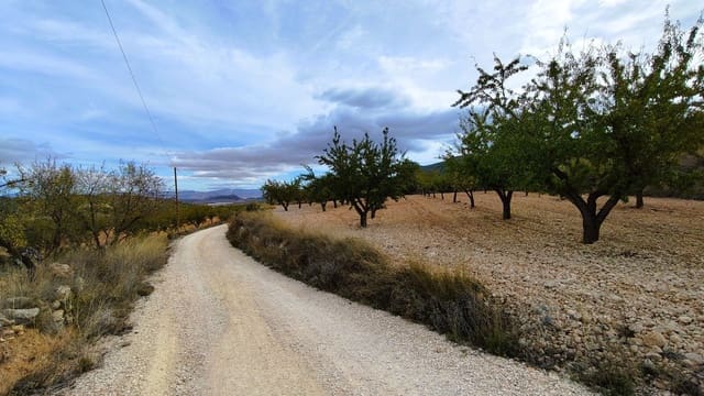 Finca/Casa di Campagna in vendita in Monóvar / Monóver - 28.300 € (Rif: 9353135)