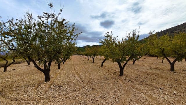 Finca/Casa di Campagna in vendita in Monóvar / Monóver - 28.300 € (Rif: 9353135)