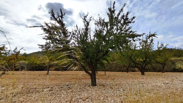 Finca/Casa di Campagna in vendita in Monóvar / Monóver - 28.300 € (Rif: 9353135)