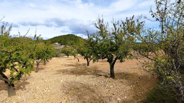 Finca/Casa di Campagna in vendita in Monóvar / Monóver - 28.300 € (Rif: 9353135)