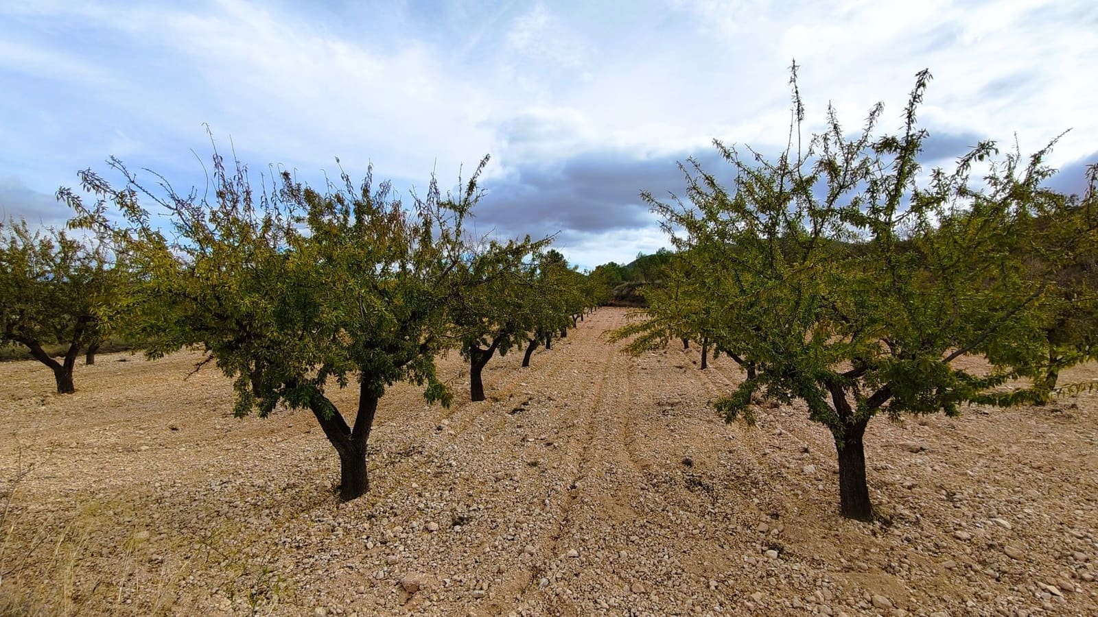 Finca/Landhuis te koop in Monovar / Monover - € 28.300 (Ref: 9353135)