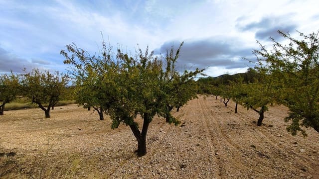 Finca/Casa di Campagna in vendita in Monóvar / Monóver - 28.300 € (Rif: 9353135)