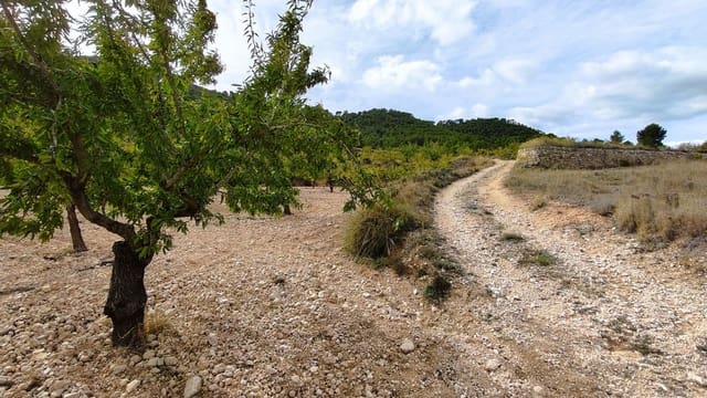 Finca/Casa di Campagna in vendita in Monóvar / Monóver - 28.300 € (Rif: 9353135)