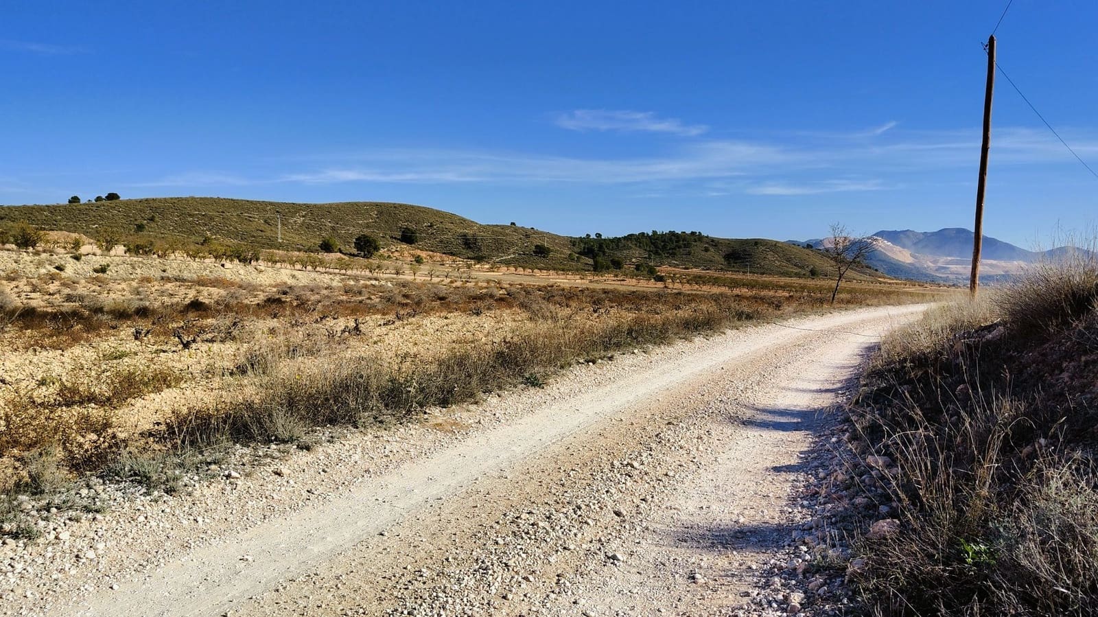 Finca/Herregård til salgs i Abanilla - € 149 900 (Ref: 9385095)