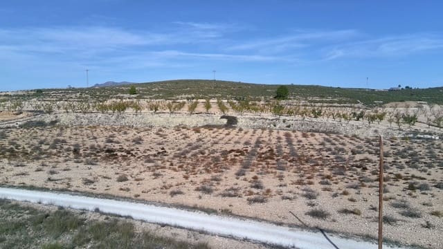 Finca/Maison de Campagne à vendre à Abanilla - 149 900 € (Ref: 9385095)