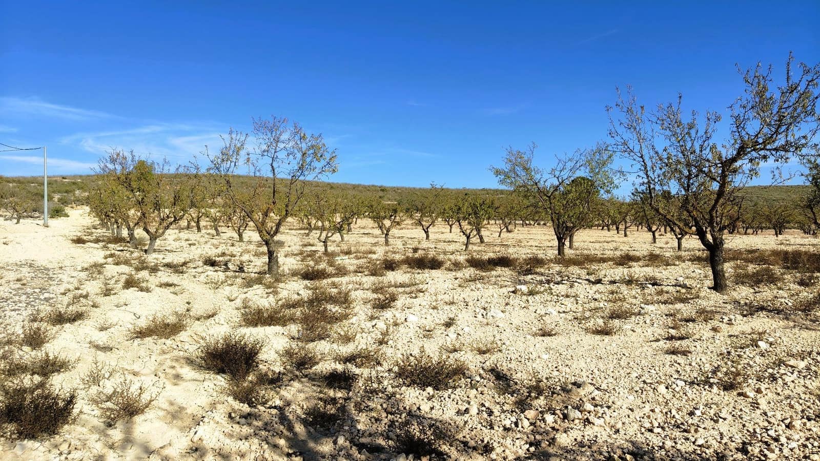 Finca/Herregård til salgs i Abanilla - € 149 900 (Ref: 9385095)