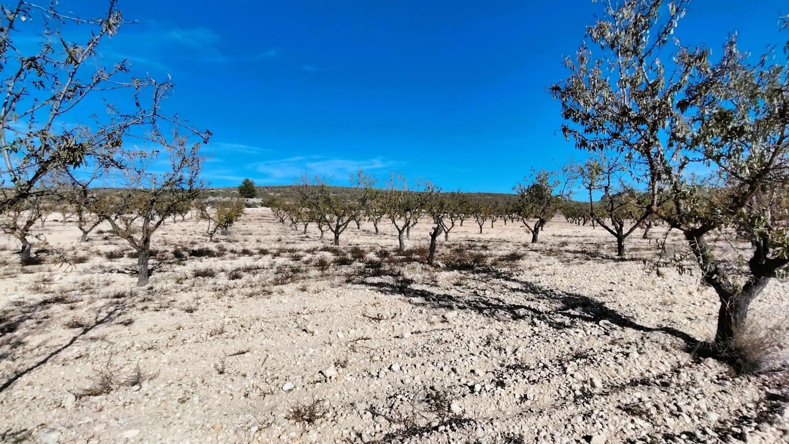 Finca/Herregård til salgs i Abanilla - € 149 900 (Ref: 9385095)