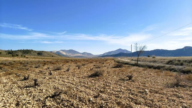 Finca/Maison de Campagne à vendre à Abanilla - 149 900 € (Ref: 9385095)