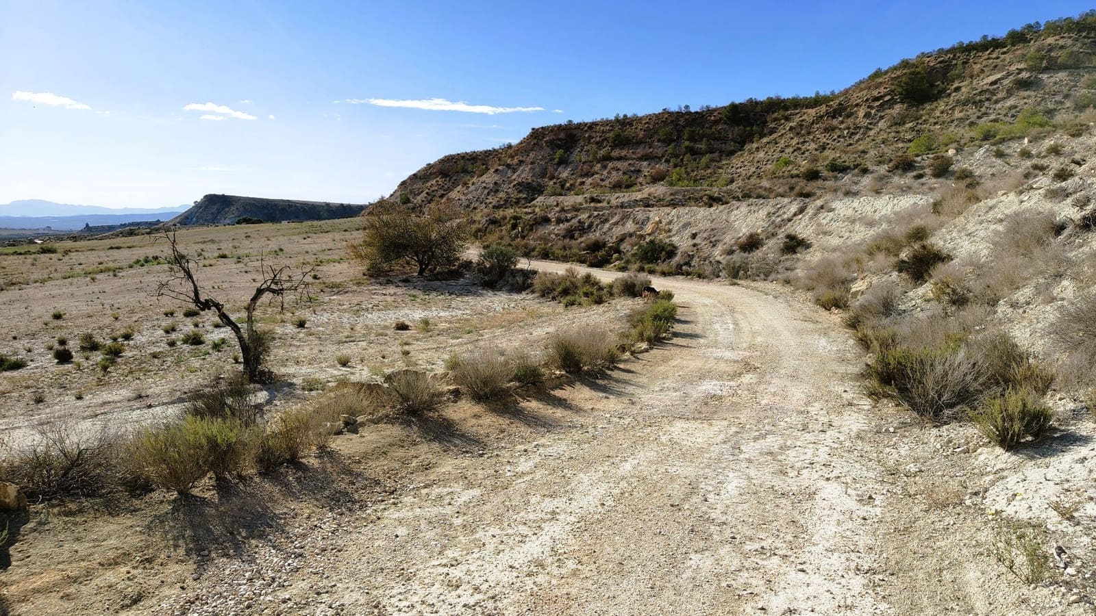 Finca/Landehus til salg i Fortuna - € 9.500 (Ref: 9387147)