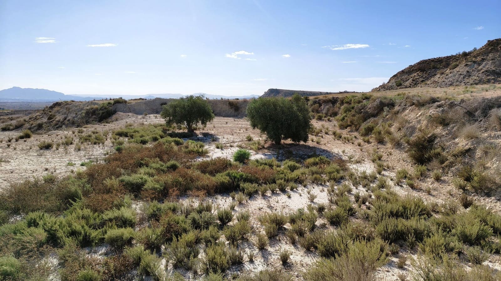 Finca/Landehus til salg i Fortuna - € 9.500 (Ref: 9387147)