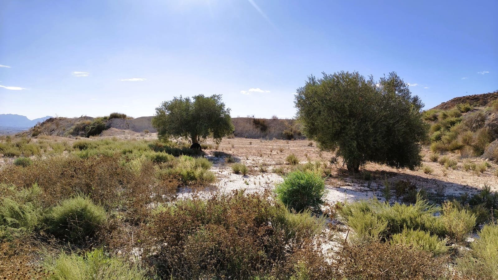 Finca/Landehus til salg i Fortuna - € 9.500 (Ref: 9387147)