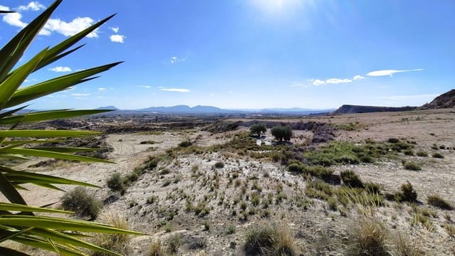 Finca/Landehus til salg i Fortuna - € 9.500 (Ref: 9387147)