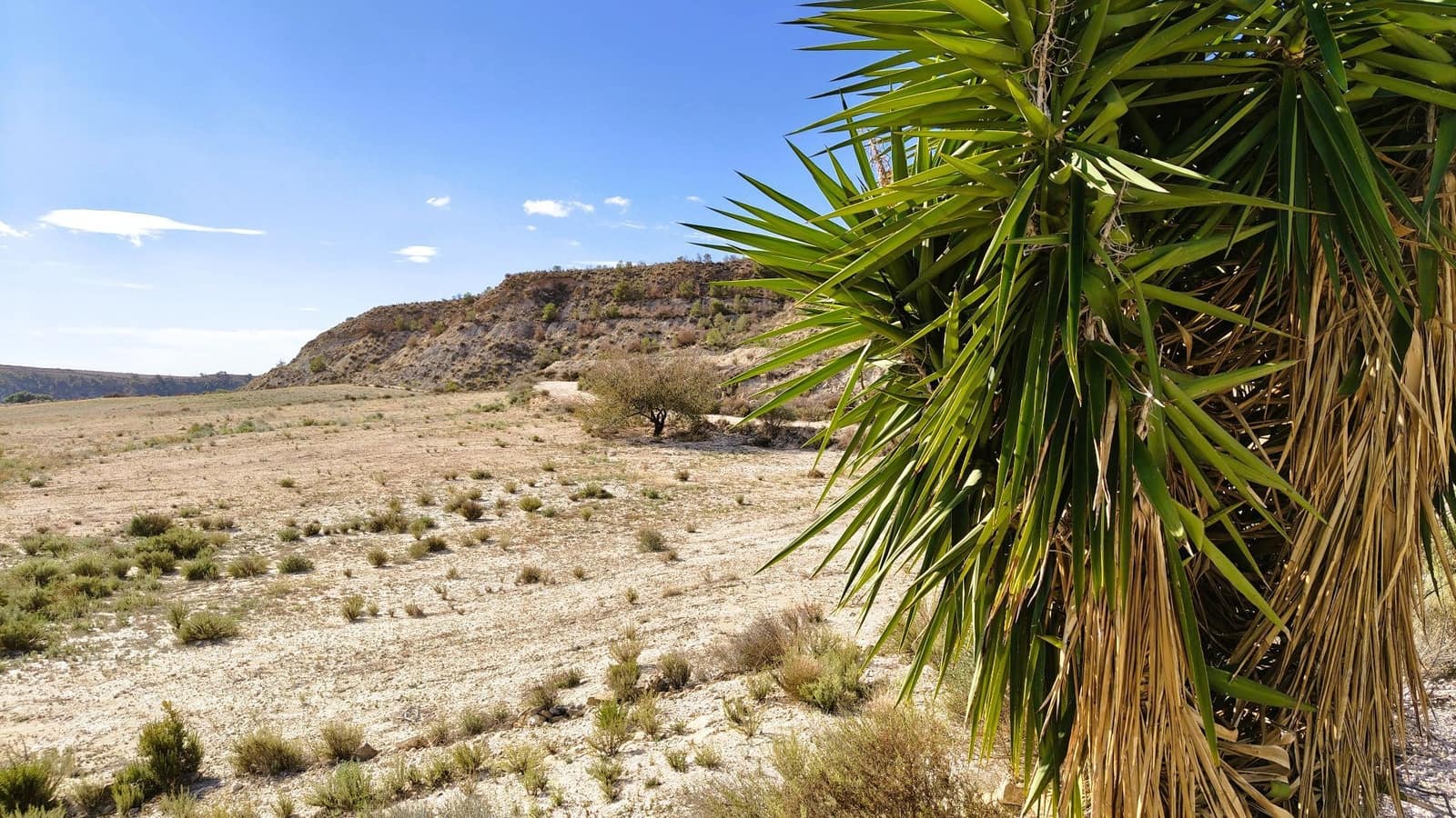 Finca/Landehus til salg i Fortuna - € 9.500 (Ref: 9387147)