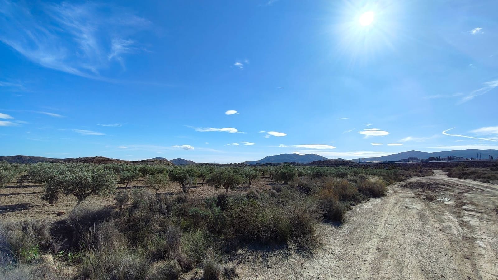 Finca/Hus på landet till salu i Elda - 127 600 € (Ref: 9398168)