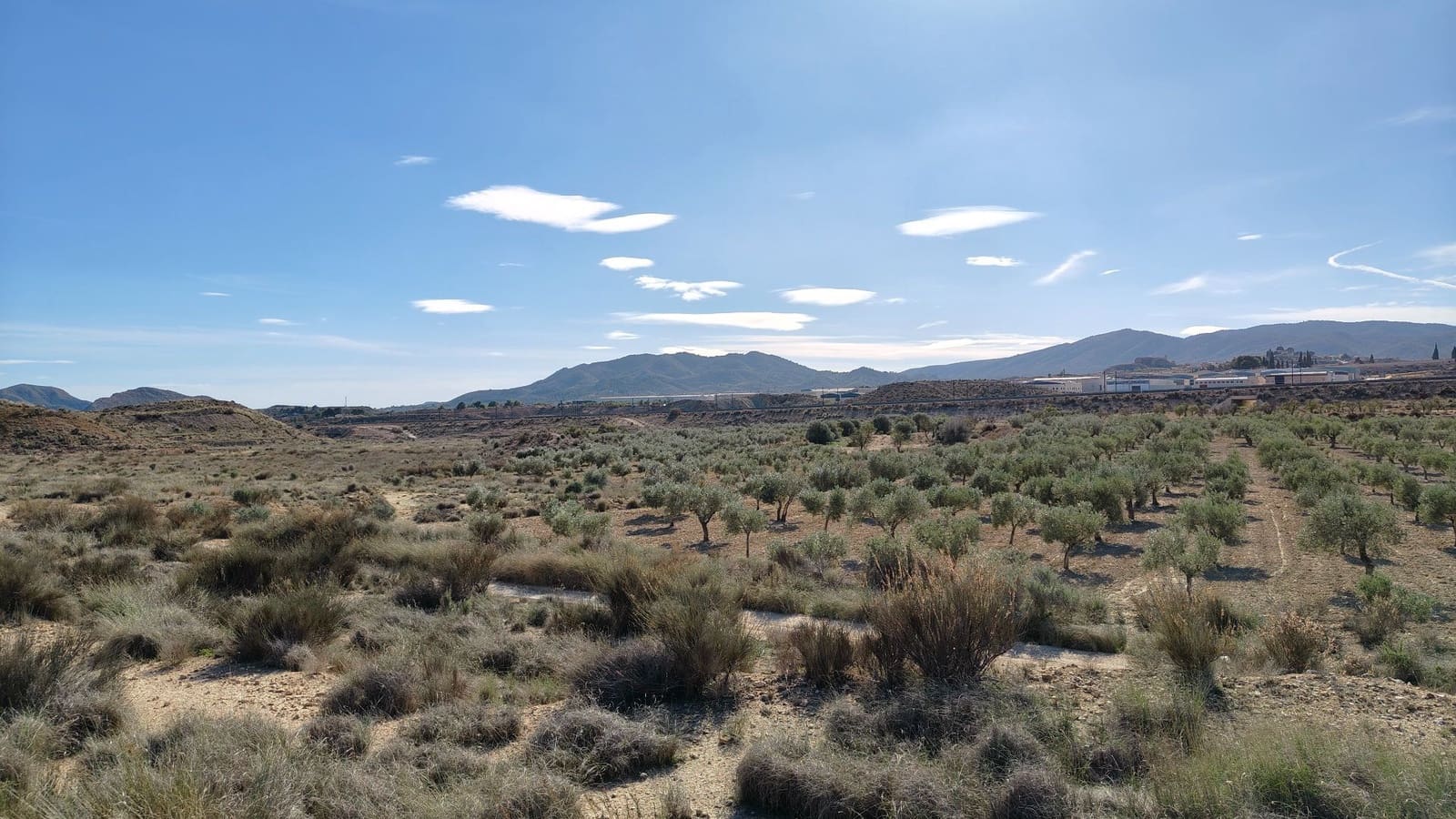 Finca/Hus på landet till salu i Elda - 127 600 € (Ref: 9398168)