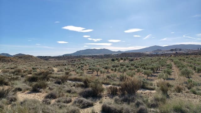 Finca/Landehus til salg i Elda - € 127.600 (Ref: 9398168)