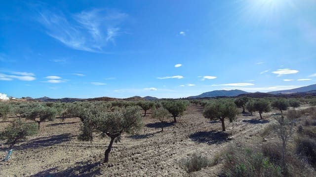 Finca/Landehus til salg i Elda - € 127.600 (Ref: 9398168)